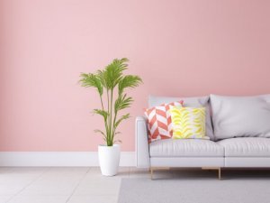 6 Skema Warna yang dapat Anda Gunakan untuk Memercantik Ruang