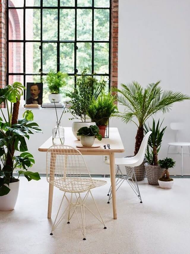 home office dengan tanaman