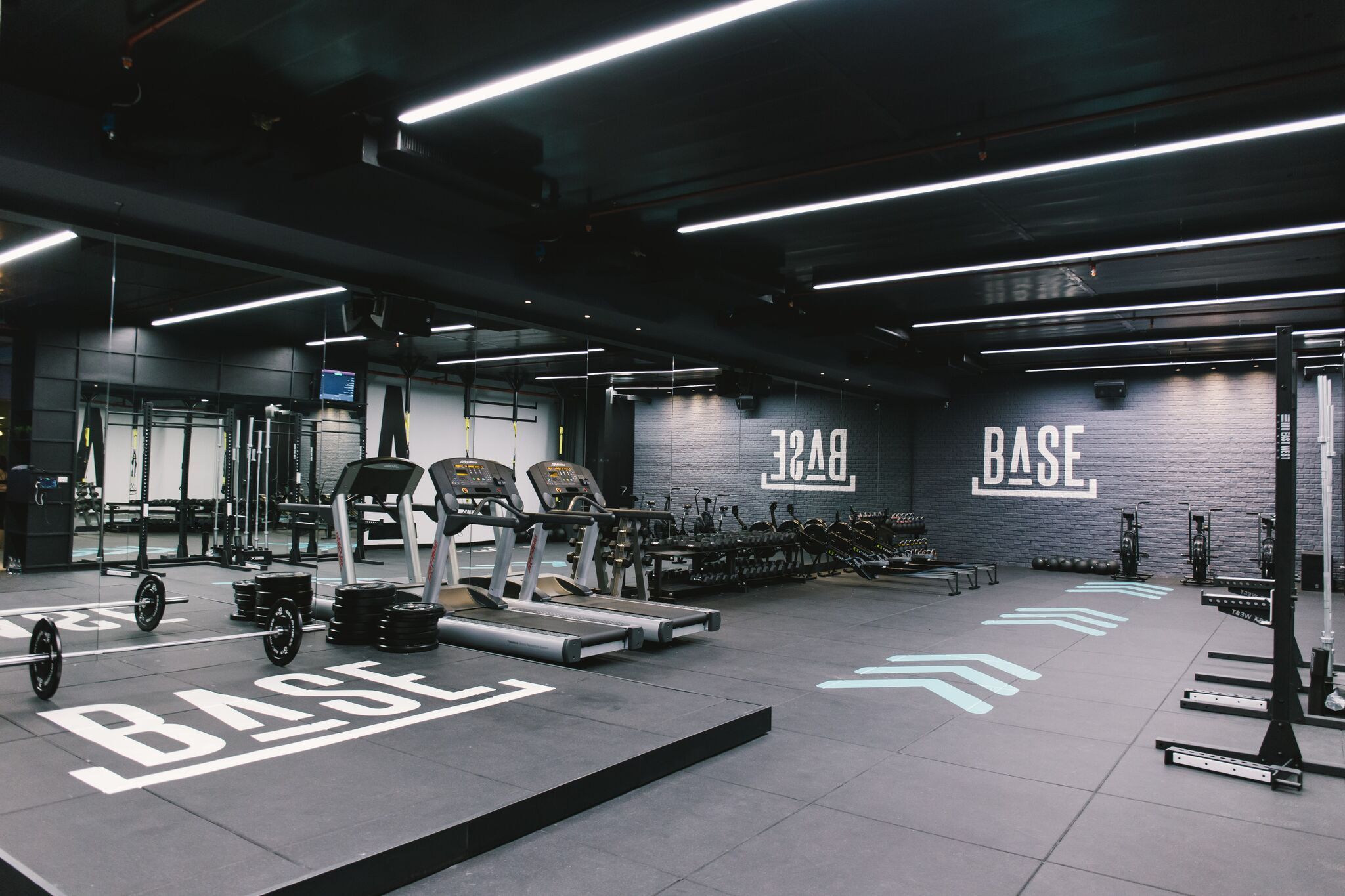 The base fitness