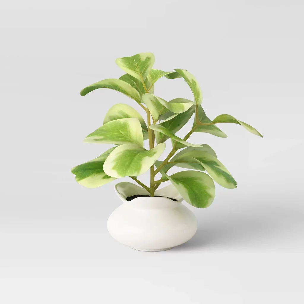 tanaman artifisal untuk dekorasi kamar minimalis aesthetic