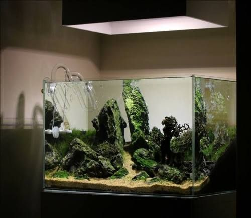Lampu Hias Aquarium